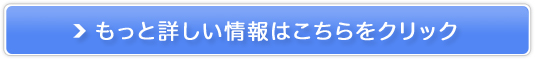 ̈U}bgX ru[gP̔TCg